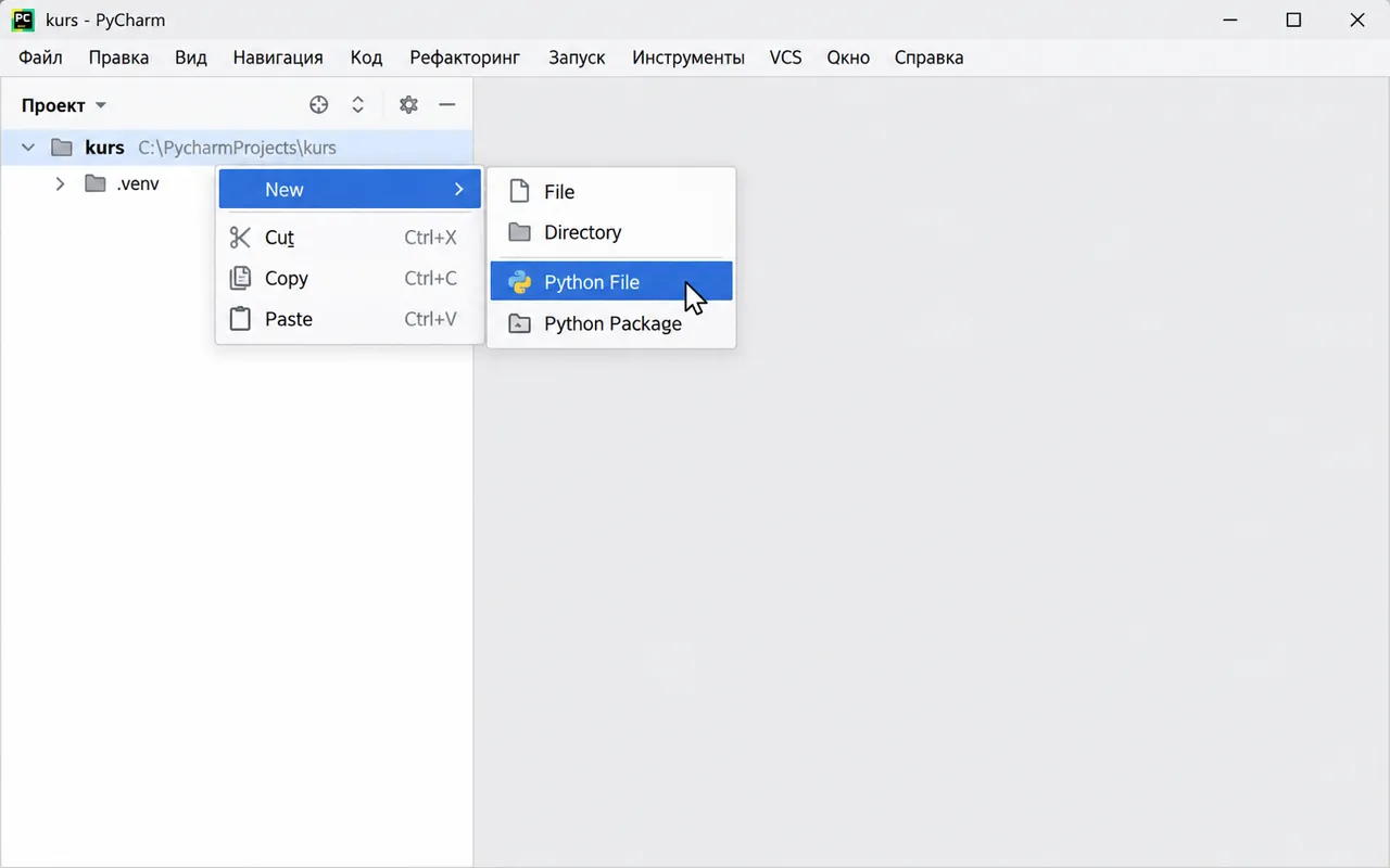 PyCharm: контекстное меню папки kurs, пункт New, подпункт Python File