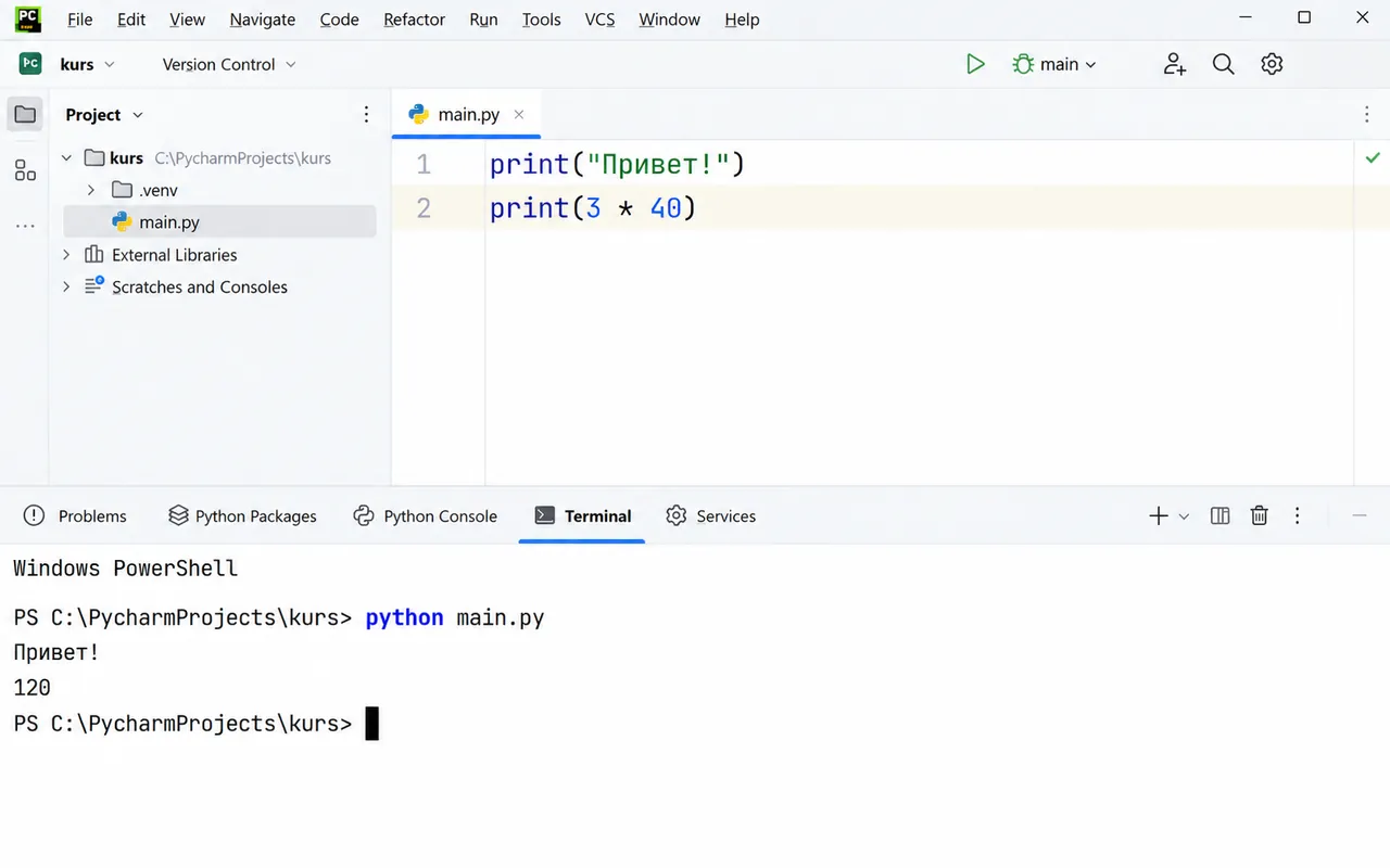 Вкладка Terminal в PyCharm: команда python main.py и вывод программы